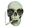 cool smoking skull with shades